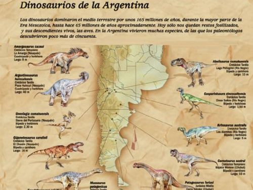Dinosaurio record in Patagonia, aveva una lunghezza tra i 32 e i 24 metri.
