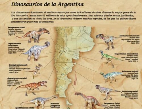 Dinosaurio record in Patagonia, aveva una lunghezza tra i 32 e i 24 metri.