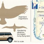 L’Argentavis magnificens solcava i cieli dell’attuale Argentina sei milioni di anni fa.