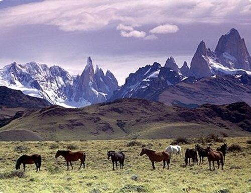 Patagonia, spazi enormi e selvaggi battuti dai venti e la luce intensa.