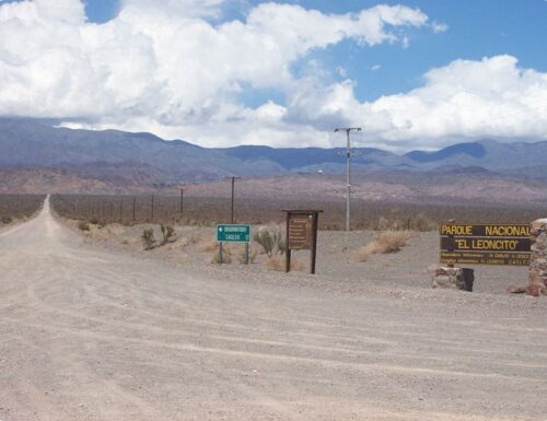 Pampa del Leoncito una vera e propria oasi nel deserto sanjuanino.