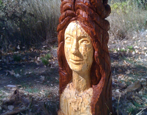Il Bosque Tallado è una mostra artistica unica nel mondo delle taglie di legno.