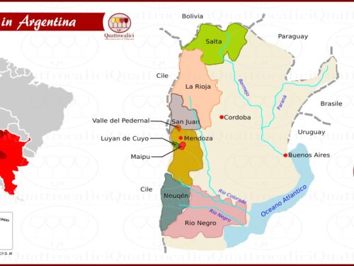 Le strade del vino in Argentina